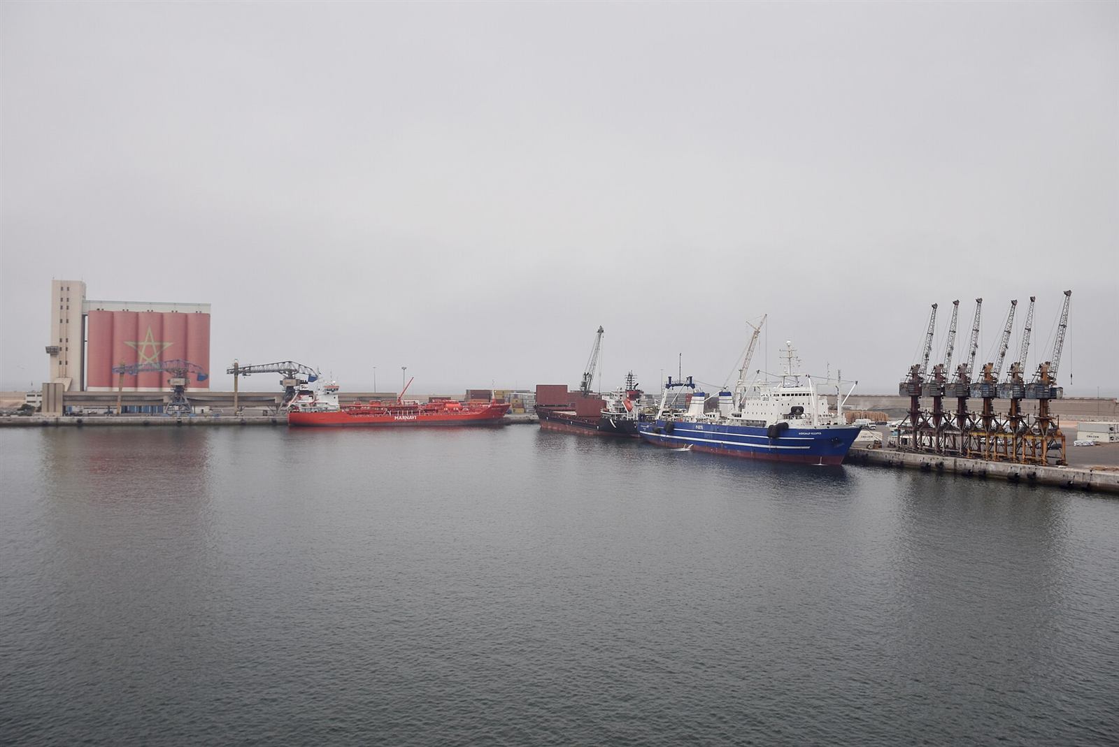 Grues du port d'Agadir